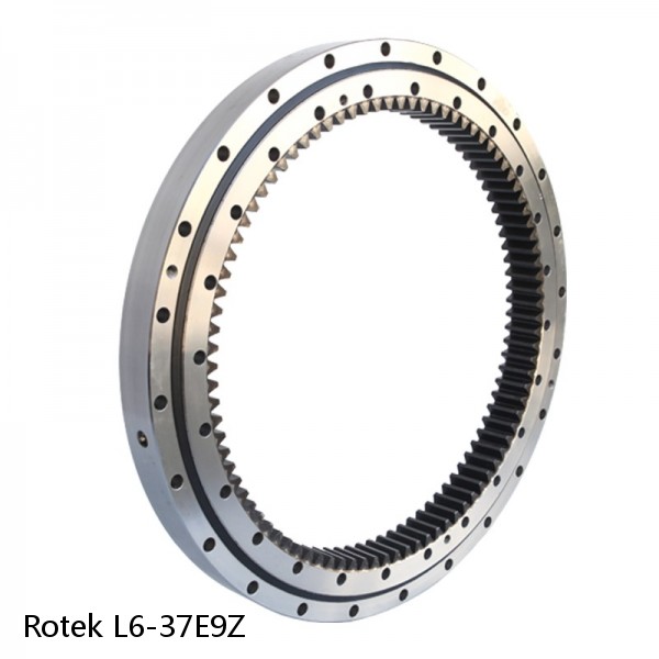 L6-37E9Z Rotek Slewing Ring Bearings
