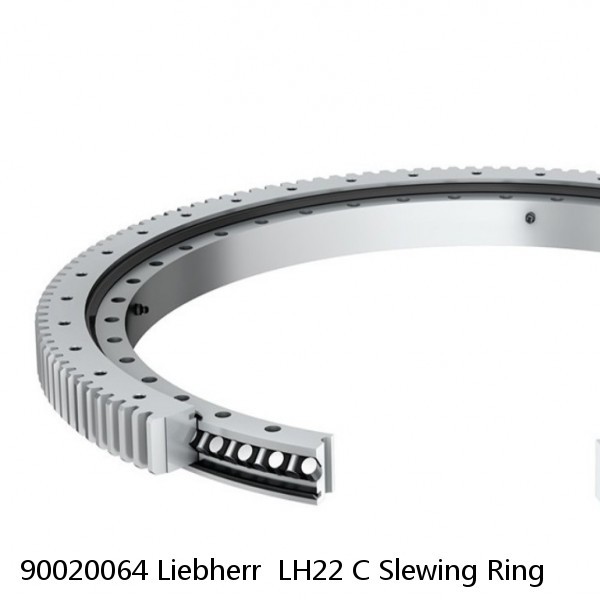 90020064 Liebherr  LH22 C Slewing Ring