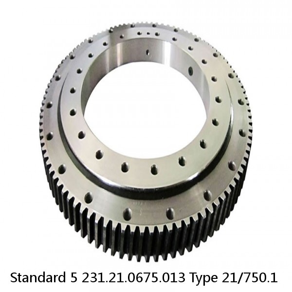231.21.0675.013 Type 21/750.1 Standard 5 Slewing Ring Bearings