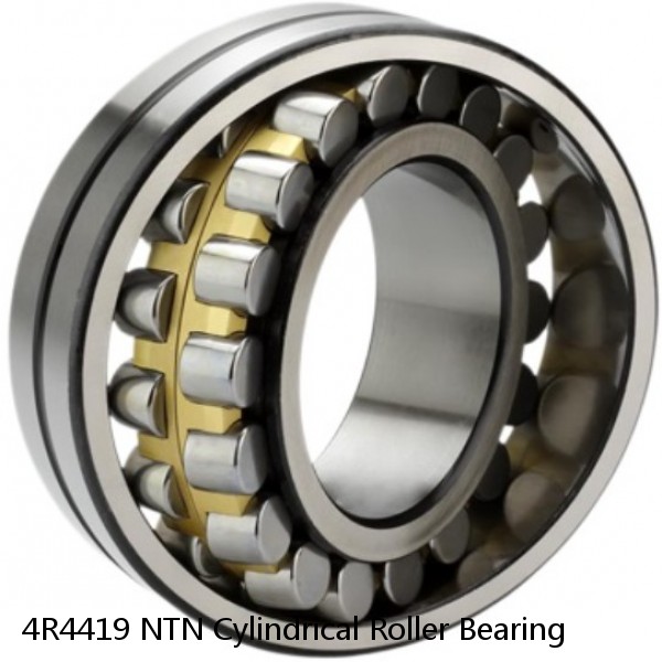 4R4419 NTN Cylindrical Roller Bearing